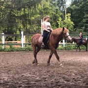 ���������� ������, ���� ������� ���, 24 ����, ������������ ��� ������, ����� � ���������