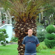  ,  davo, 51