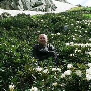 ���������� ������-��-����, ���� ������� ����������, 45 ���, ������������ ��� ����� � ���������, c�������� ���������