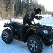 ���������� ������, ���� ������� ����, 36 ���, ������������ ��� ������, ����� � ���������, c�������� ���������