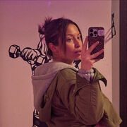 ���������� ��������, ������