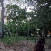 ���������� Pamplona, ���� ������� Balentina, 19 ���, ������������ ��� ������, ����� � ���������