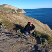 ���������� ��������-��-������, ���� ������� ���������, 41 ���, ������������ ��� ����� � ���������, c�������� ���������