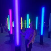 ���������� �����-���������, ���� ������� �������, 29 ���, ������������ ��� ������, ����� � ���������, c�������� ���������