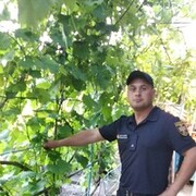  ,   , 37 ,   ,   , c 