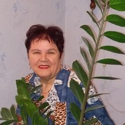  Husi,  , 66