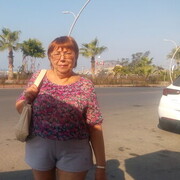 ������ ������