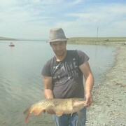 ���������� ������, ���� ������� ������, 37 ���, ������������ ��� ������, ����� � ���������, c�������� ���������, ���������