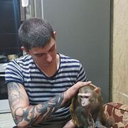 ���������� �������, ���� ������� ���������, 33 ����, ������������ ��� ������, ����� � ���������, ���������