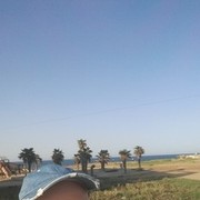 ���������� ����, ���� ������� ������, 43 ����, ������������ ��� ������, ����� � ���������, c�������� ���������