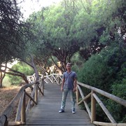   ,   Dima, 38 ,     , c 