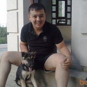 ���������� �������, ���� ������� Sardor, 40 ���, ������������ ��� ������