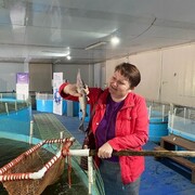  ,   , 51 ,     , c , 