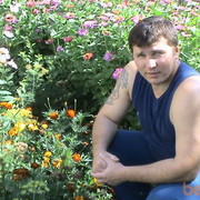 ���������� �������������, ���� ������� Roman, 49 ���, ������������ ��� ������, ����� � ���������, c�������� ���������