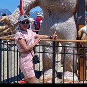 ���������� �������, ���� ������� �����, 43 ����, ������������ ��� ������, ����� � ���������