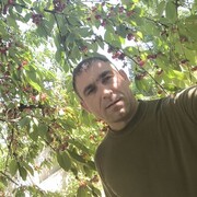 ���������� ���������, ���� ������� ������, 42 ����, ������������ ��� ������, ����� � ���������, c�������� ���������, ���������