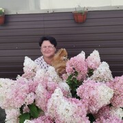 ���������� ��������, ���� ������� ����, 49 ���, ������������ ��� ����� � ���������, c�������� ���������