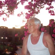  ,   , 83 ,   ,   , c 