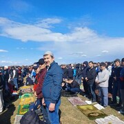 ���������� �����, ���� ������� ��������, 44 ����, ������������ ��� ������, ����� � ���������, c�������� ���������, ���������