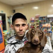 ���������� ������������, ���� ������� ������, 31 ���, ������������ ��� ������, ����� � ���������, c�������� ���������