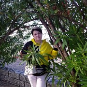  ,   , 53 ,   ,   