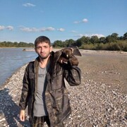  ,   , 38 ,   ,   