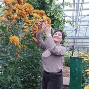 ���������� ������, ���� ������� ���������, 59 ���, ������������ ��� ����� � ���������, c�������� ���������