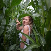 ���������� �����-���������, ���� ������� ��������, 36 ���, ������������ ��� c�������� ���������