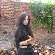  ,   , 33 ,   ,   , c , 