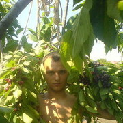  -,   Serega, 43 ,  
