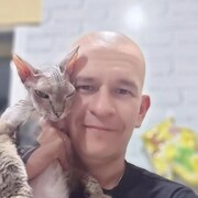  ,   , 33 ,   c 