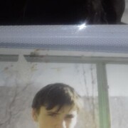  ,  , 41