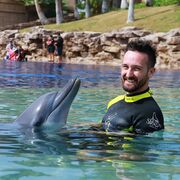 ���������� �������, ������� �������, 40