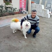  ,   Anar, 43 ,   ,   