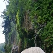 ,   , 48 ,   ,   , 