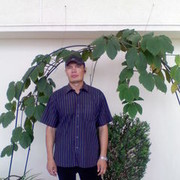  ,   , 51 ,   