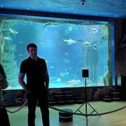 ���������� �����������, ���� ������� ����������, 41 ���, ������������ ��� ������, ����� � ���������