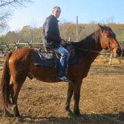  ,  sergei, 50