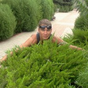 ���������� ���������, ���� ������� ����, 41 ���, ������������ ��� ����� � ���������, c�������� ���������