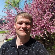 ���������� ���������, ���� ������� �������, 41 ���, ������������ ��� c�������� ���������