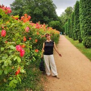 ���������� ������������, ���� ������� �����, 55 ���, ������������ ��� ������, ����� � ���������, c�������� ���������