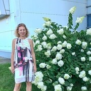  ,   , 56 ,   ,   , c 