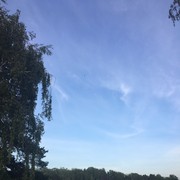 ���������� �������, ���� ������� �����, 45 ���, ������������ ��� ������, ����� � ���������, c�������� ���������