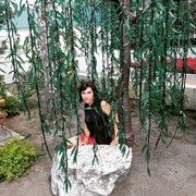 ���������� �����, ���� ������� �����, 46 ���, ������������ 