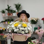 ���������� ��������, ���� ������� LediLi, 35 ���, ������������ ��� c�������� ���������