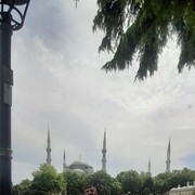  ,   , 45 ,     , 