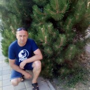  --,   , 55 ,     , c , 