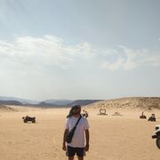 ���������� �������, ���� ������� Farrux, 32 ����, ������������ ��� ������, ����� � ���������