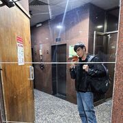 ���������� ������, ���� ������� �����������, 29 ���, ������������ ��� ������, ����� � ���������