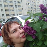  ,   , 65 ,  